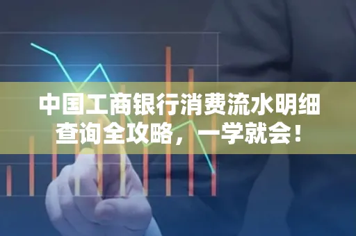 中国工商银行消费流水明细查询全攻略，一学就会！