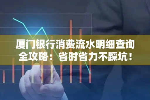 厦门银行消费流水明细查询全攻略：省时省力不踩坑！
