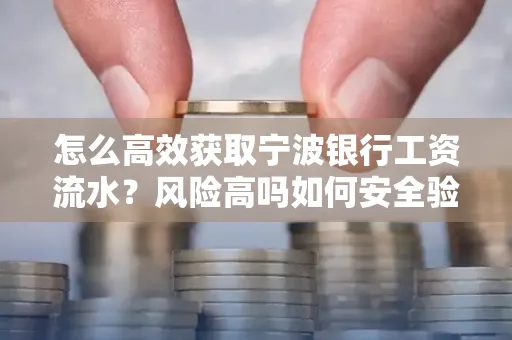 怎么高效获取宁波银行工资流水？风险高吗如何安全验证？