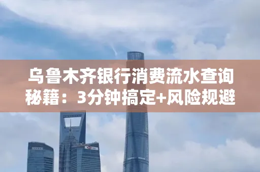 乌鲁木齐银行消费流水查询秘籍：3分钟搞定+风险规避干货