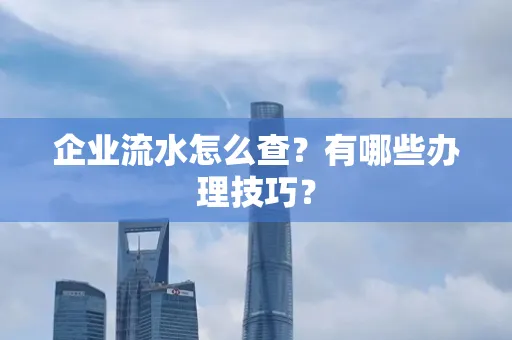 企业流水怎么查？有哪些办理技巧？