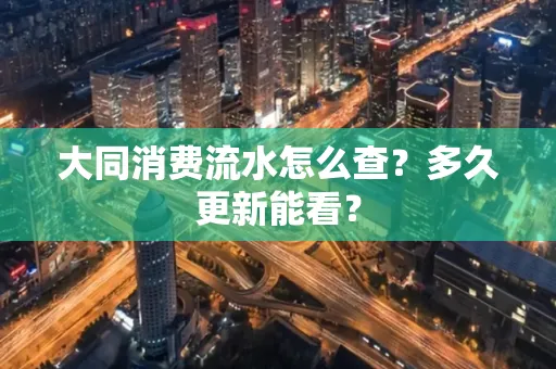 大同消费流水怎么查？多久更新能看？