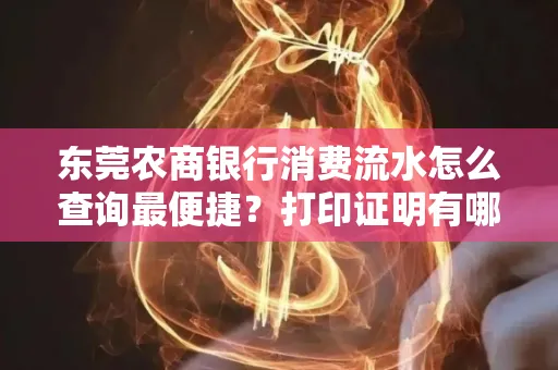 东莞农商银行消费流水怎么查询最便捷？打印证明有哪些风险需注意？